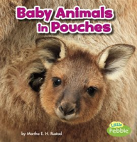 Baby_Animals_in_Pouches