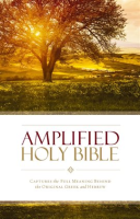 Amplified_Holy_Bible__eBook