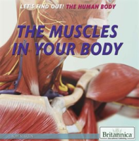 The_Muscles_in_Your_Body