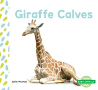 Giraffe_Calves
