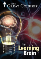 Learning_Brain