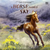 A_Horse_Named_Sky