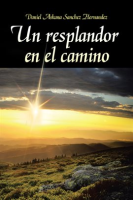 Un_Resplandor_En_El_Camino