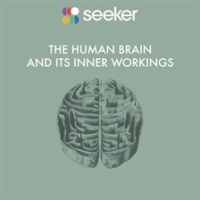The_Human_Brain_and_its_Inner_Workings