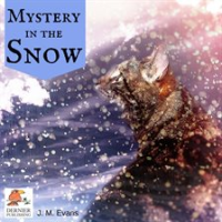 Mystery_in_the_Snow