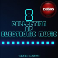 Collection_Of_Electronic_Music__Vol__8