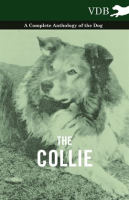 The_Collie