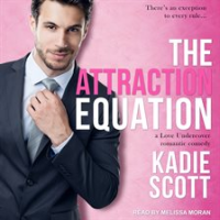 The_Attraction_Equation