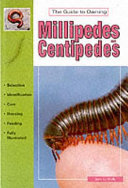 The_guide_to_owning_millipedes_and_centipedes