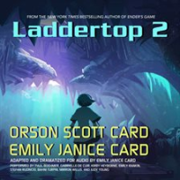 Laddertop_2