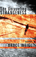 The_Unraveling_Strangeness