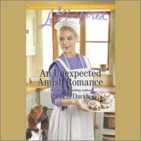 An_Unexpected_Amish_Romancen