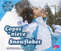 Copos_de_nieve_Snowflakes