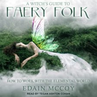A_Witch_s_Guide_to_Faery_Folk