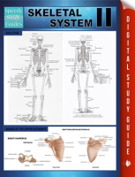 Skeletal_System_II