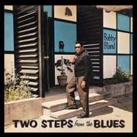 Two_Steps_From_The_Blues