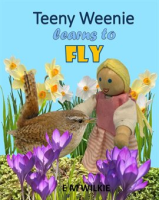 Teeny_Weenie_Learns_to_Fly