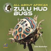 All_About_African_Zulu_Hud_Bugs