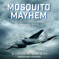 Mosquito_Mayhem