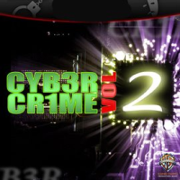 Cyber_Crime__Vol__2