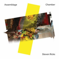 Steven_Ricks__Assemblage_Chamber