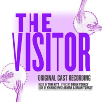 The_Visitor