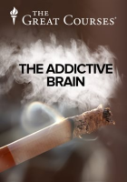 Addictive_Brain