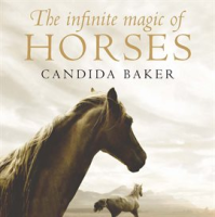 Infinite_Magic_of_Horses