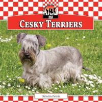 Cesky_Terriers
