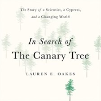 In_Search_of_the_Canary_Tree