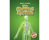 The_Skeletal_System