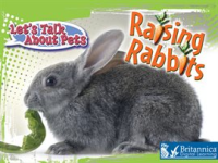 Raising_Rabbits