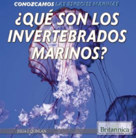 __Qu___son_los_invertebrados_marinos___What_Are_Sea_Invertebrates__
