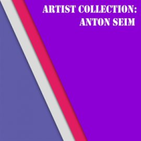 Artist_Collection__Anton_Seim