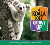 A_Koala_Joey_Grows_Up