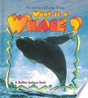 What_is_a_whale_