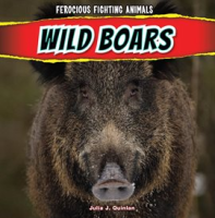 Wild_Boars