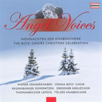 Angel_Voices__The_Boys__Choirs_Christmas_Celebration