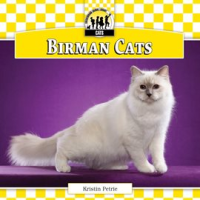 Birman_Cats