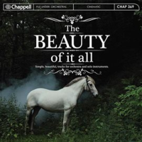 The_Beauty_Of_It_All