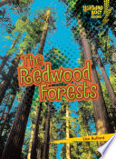 The_redwood_forests