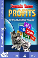 Domain_name_profits