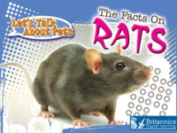 The_Facts_on_Rats