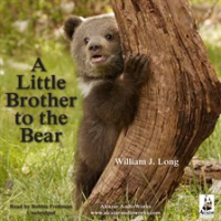 A_Little_Brother_To_The_Bear