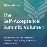 The_Self-Acceptance_Summit__Volume_1