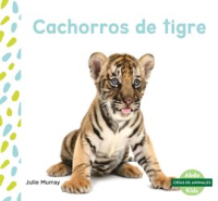 Cachorros_de_Tigre__Tiger_Cubs_