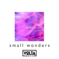 Small_Wonders