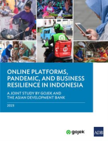 Online_Platforms__Pandemic__and_Business_Resilience_in_Indonesia