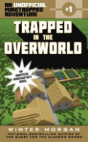 Trapped_in_the_Overworld