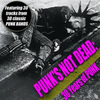 Punk_s_Not_Dead_-_30_Years_Of_Punk